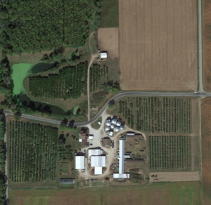 Orchard from Google Earth